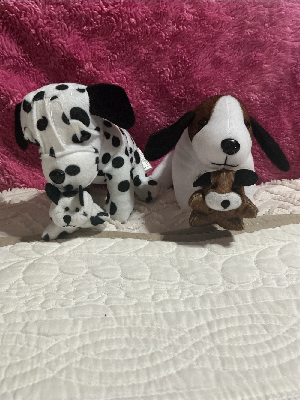 Plush Puppy Pair - White & Black Spot and White & Brown Cuddly Dogs